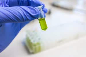 Close up to hands in blue gloves hold microtube with green liquid extract. Synthesis of new vaccine or drug against virus