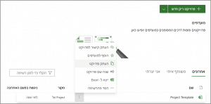 מיקרוסופט Project Template